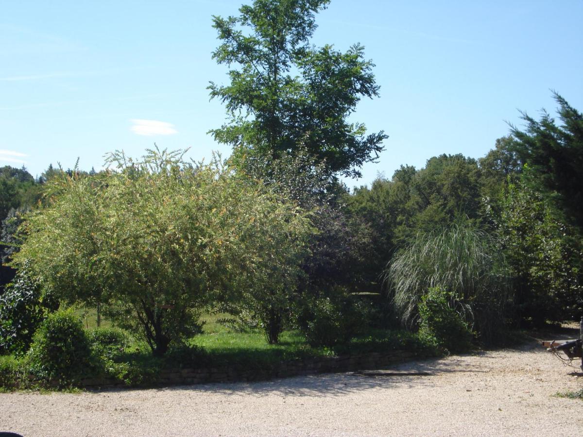 L'Oree Des Bois Dommartin-Les-Cuiseaux Экстерьер фото